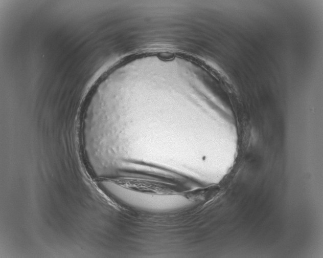 X0000080681325200701051024