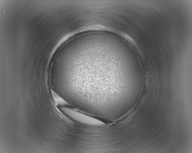 X0000080681326200701051024