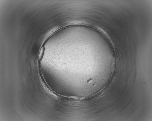 X0000080681330200701051024