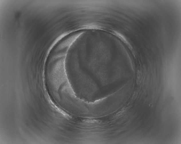 X0000080681331200701051024