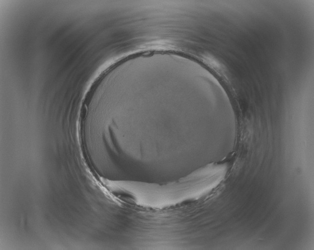 X0000080681334200701051024