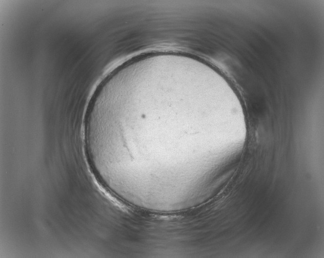 X0000080681335200701051024