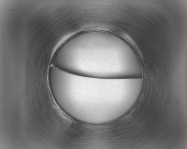 X0000080681336200701051024