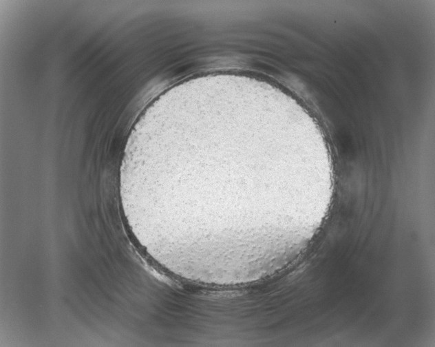 X0000080681337200701051024