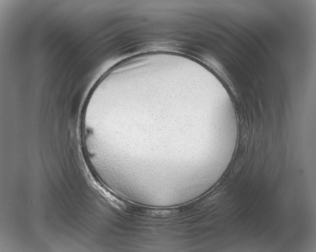 X0000080681339200701051024