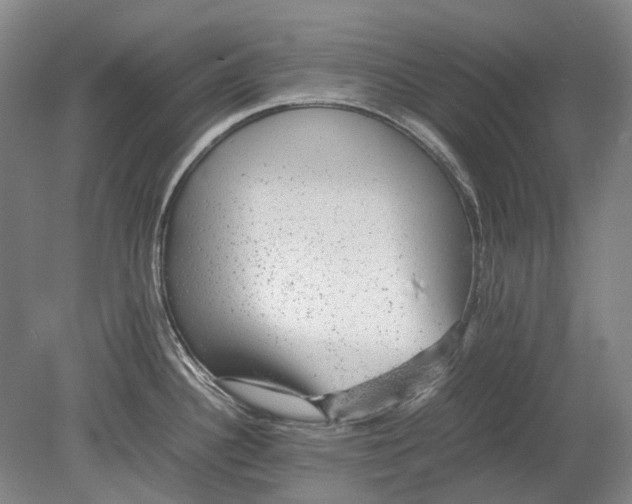 X0000080681340200701051024