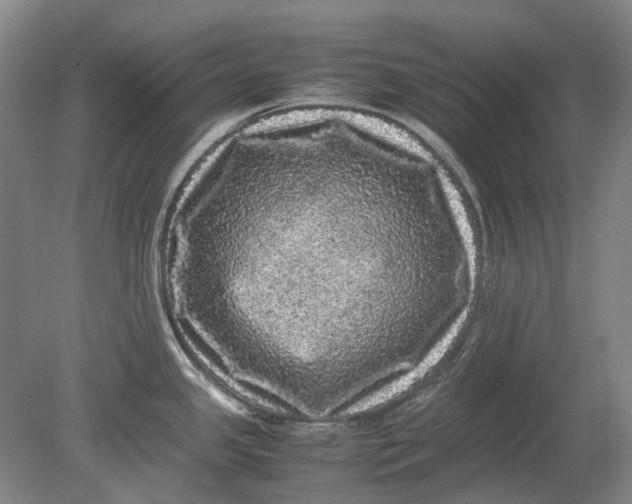 X0000080681341200701051024