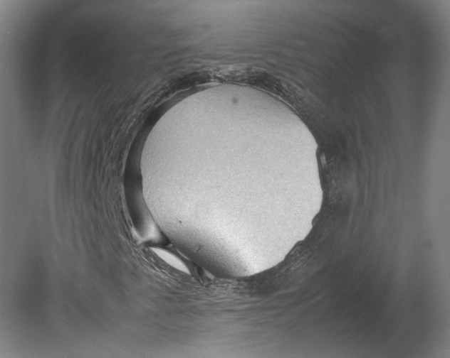 X0000080681345200701051023