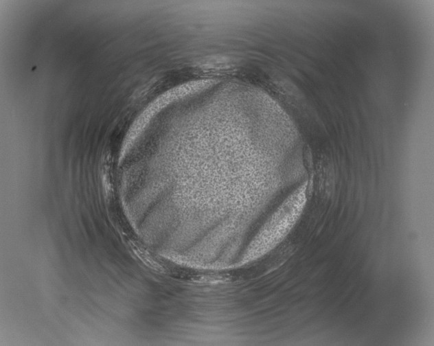 X0000080681346200701051023