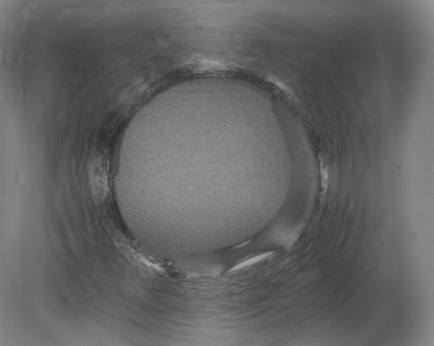 X0000080681348200701051023