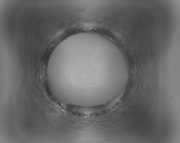 X0000080681349200701051023