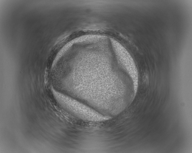 X0000080681350200701051023