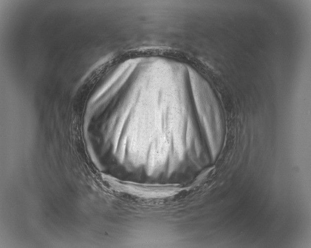 X0000080681351200701051023