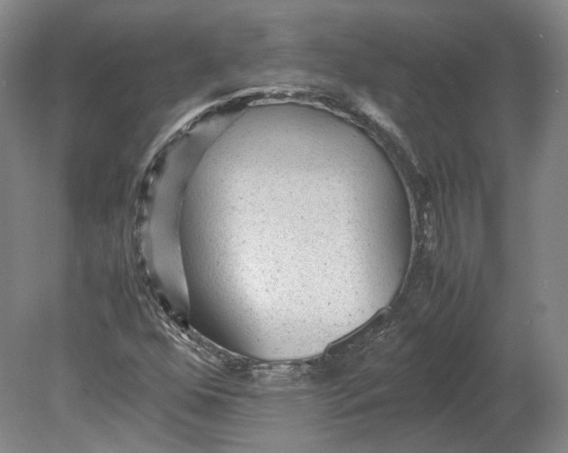 X0000080681352200701051023