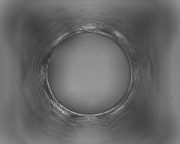 X0000080681353200701051023