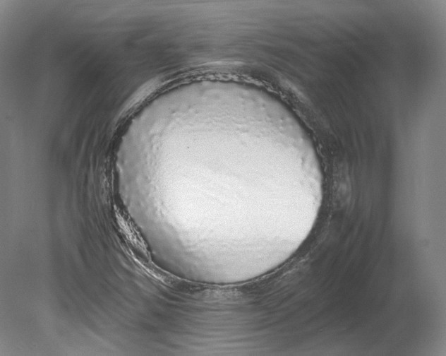 X0000080681354200701051023