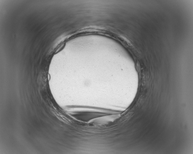 X0000080681355200701051023