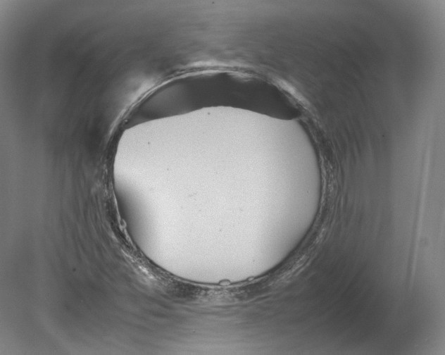 X0000080681357200701051023