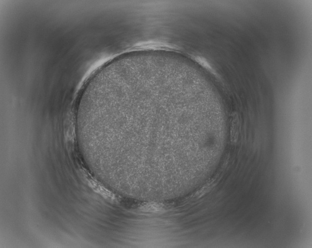 X0000080681358200701051023