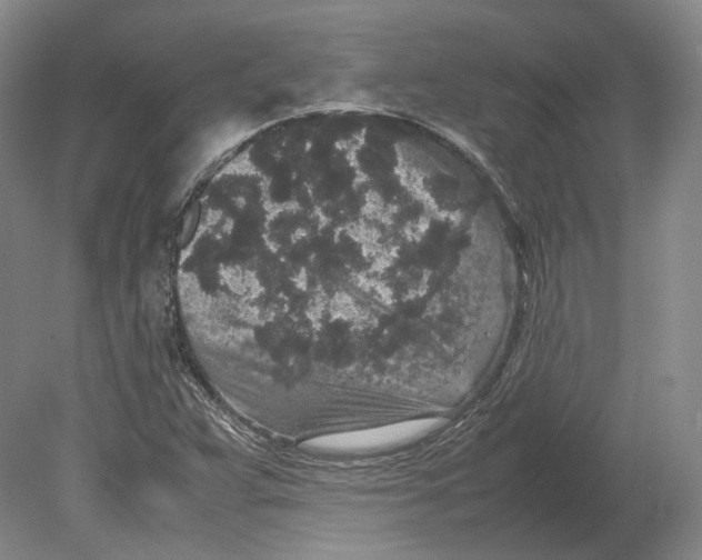 X0000080681359200701051023