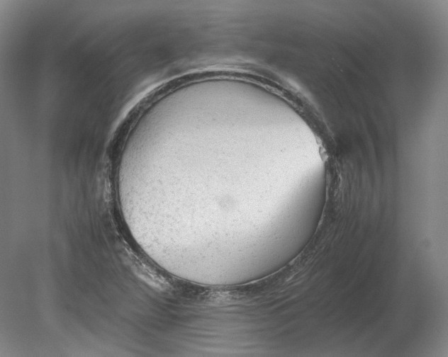 X0000080681360200701051023