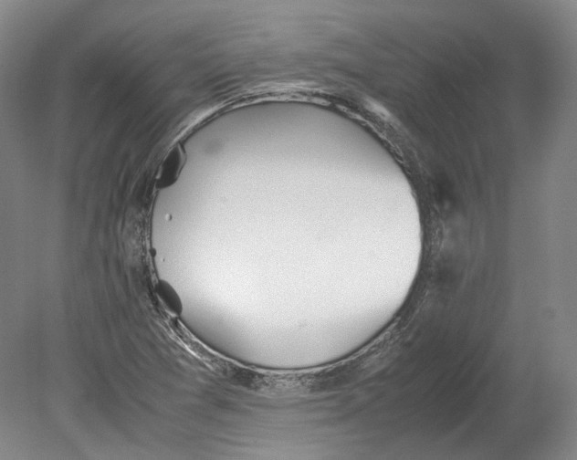 X0000080681361200701051023