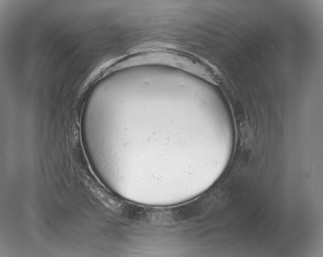 X0000080681363200701051023