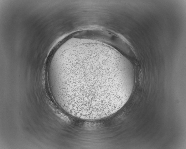 X0000080681364200701051023