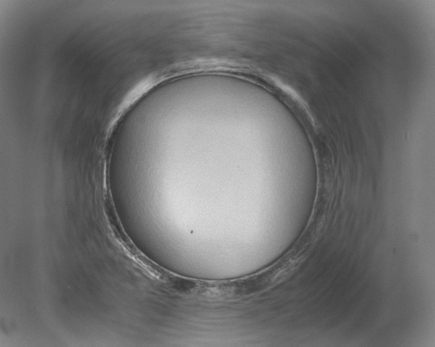 X0000080681365200701051023