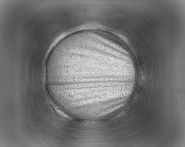 X0000080681366200701051023