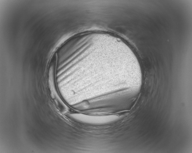 X0000080681367200701051023