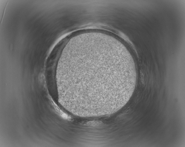 X0000080681368200701051023