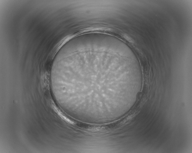 X0000080681369200701051023