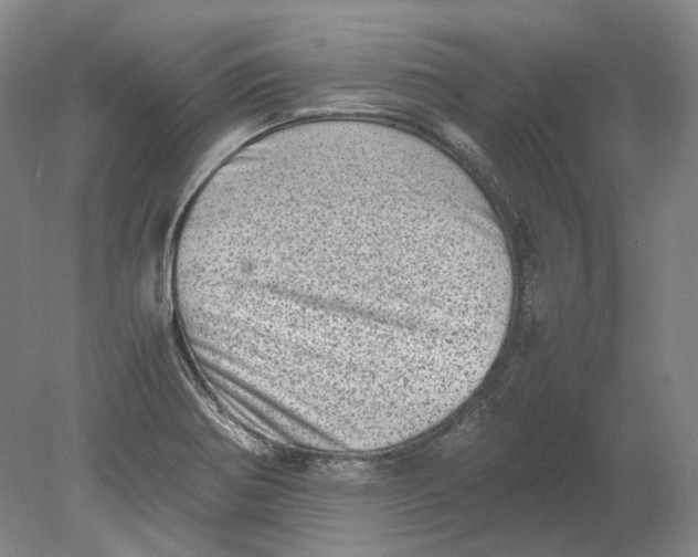 X0000080681370200701051023