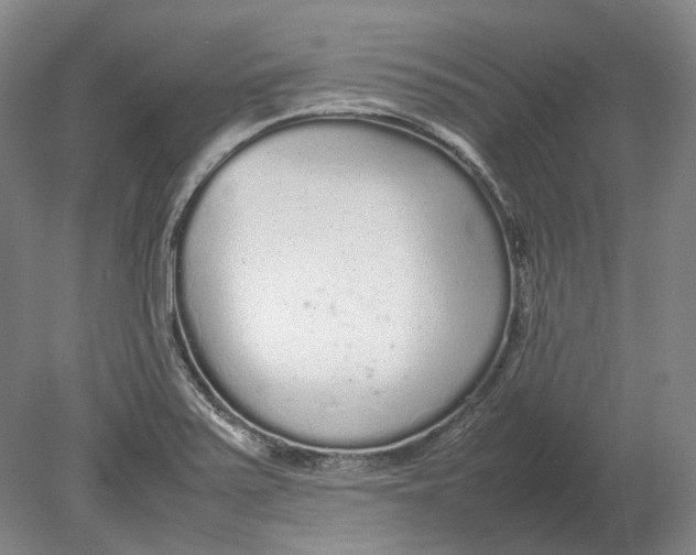 X0000080681371200701051023