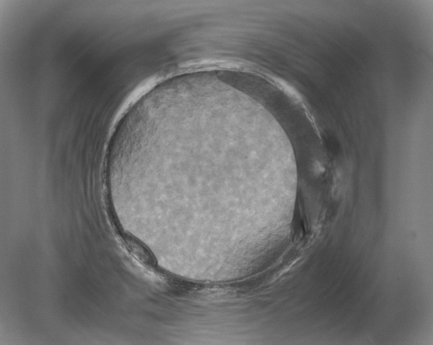 X0000080681373200701051023