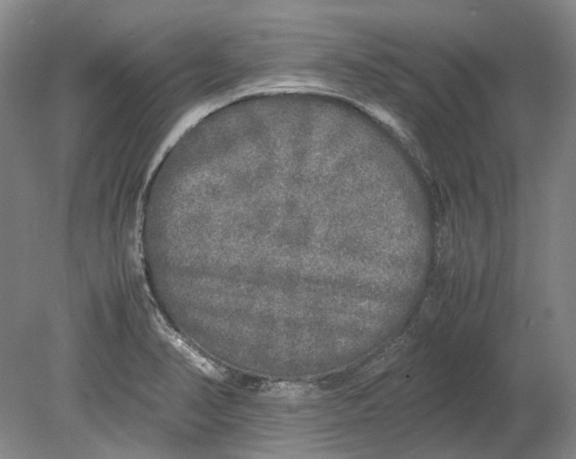 X0000080681374200701051023