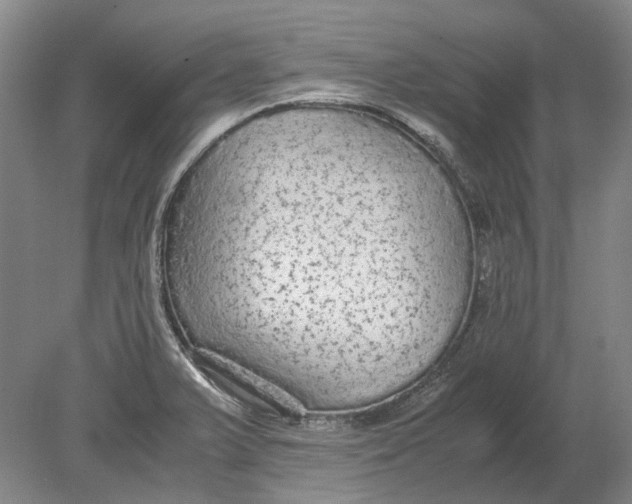 X0000080681375200701051023