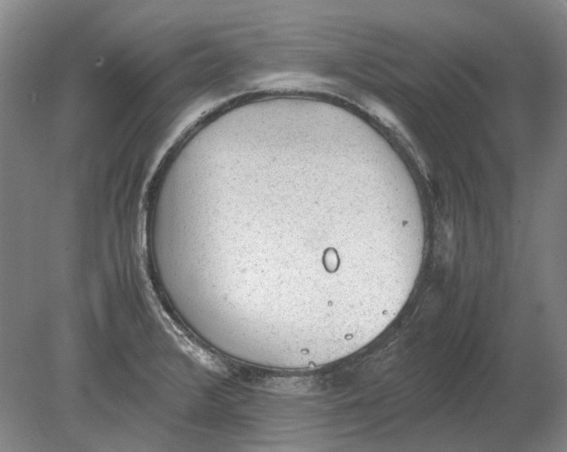 X0000080681376200701051023