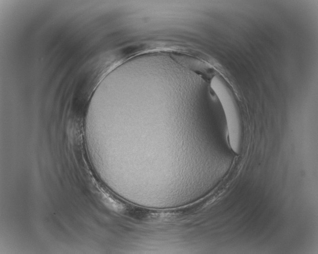 X0000080681377200701051023