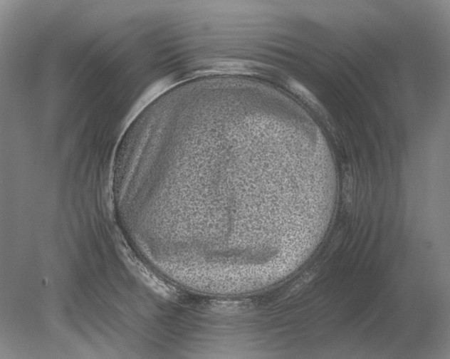 X0000080681378200701051023