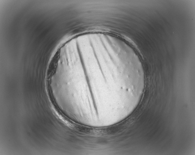 X0000080681379200701051023