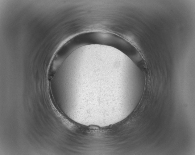 X0000080681380200701051023