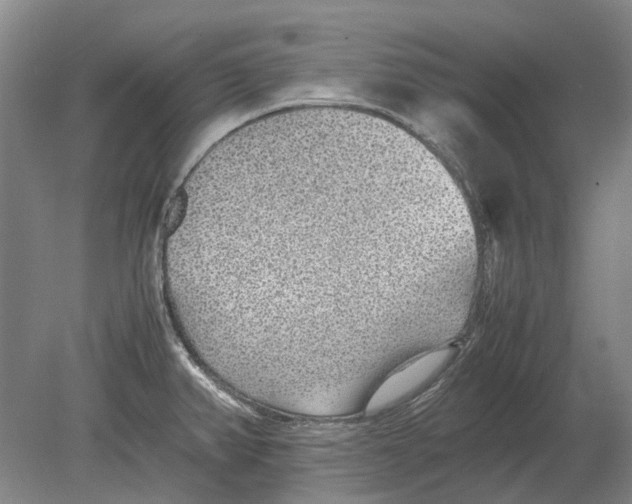 X0000080681382200701051023