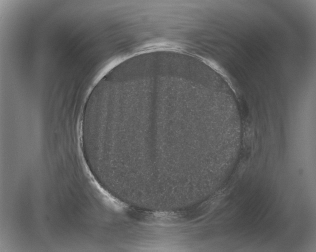 X0000080681383200701051023