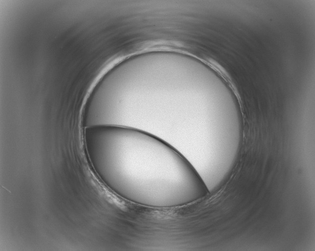 X0000080681384200701051023