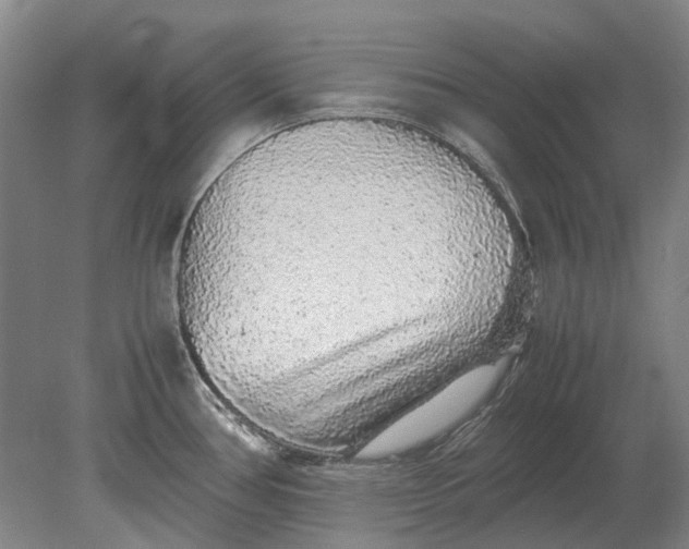 X0000080681386200701051023