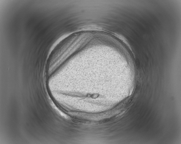 X0000080681387200701051023