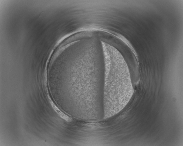 X0000080681388200701051023