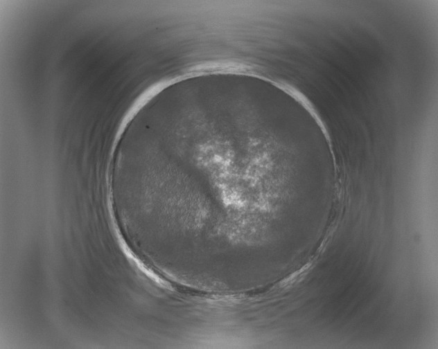 X0000080681389200701051023